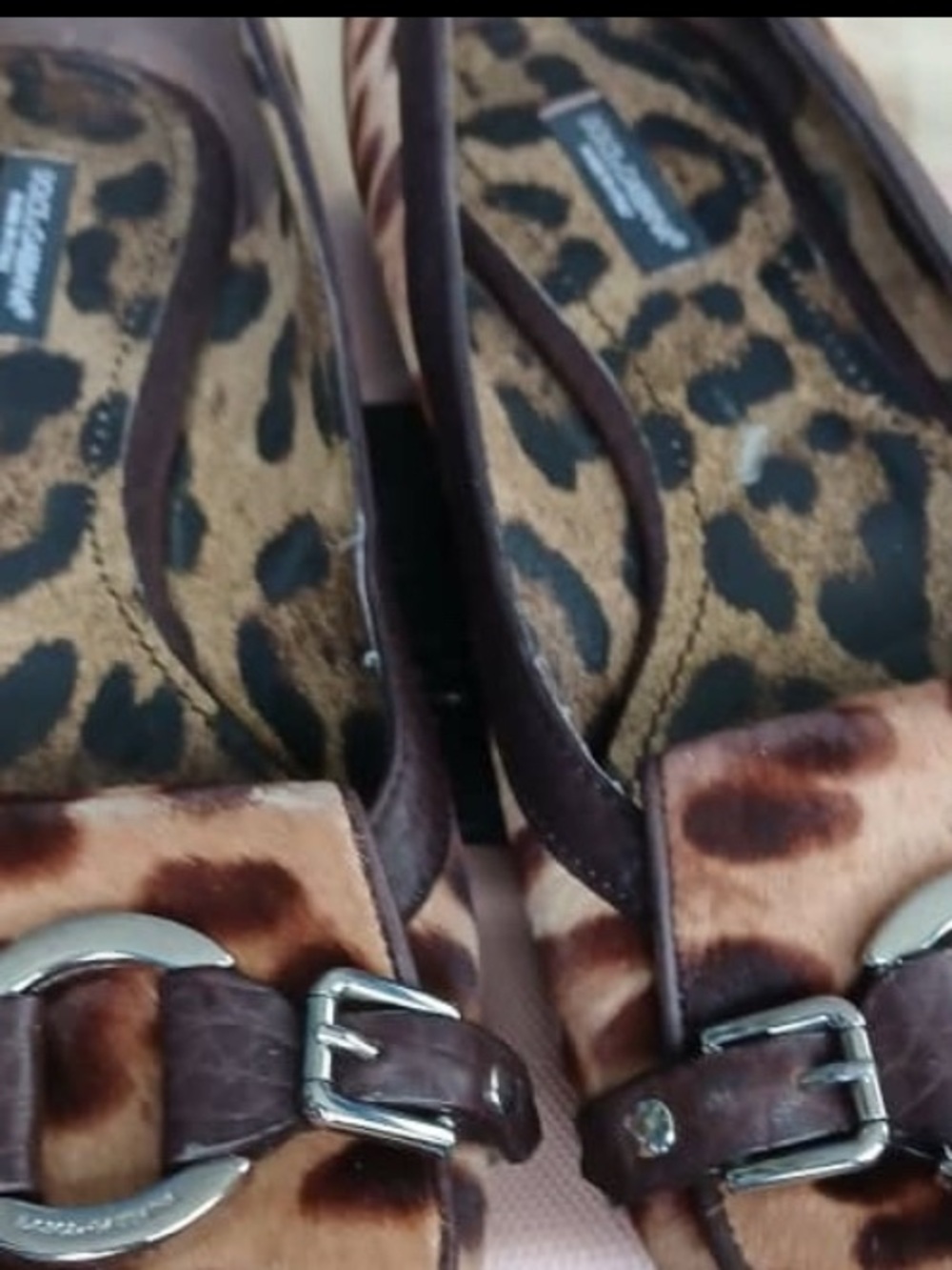 Dolce & Gabbana Leopard-Print Ballet Flats with Buckle